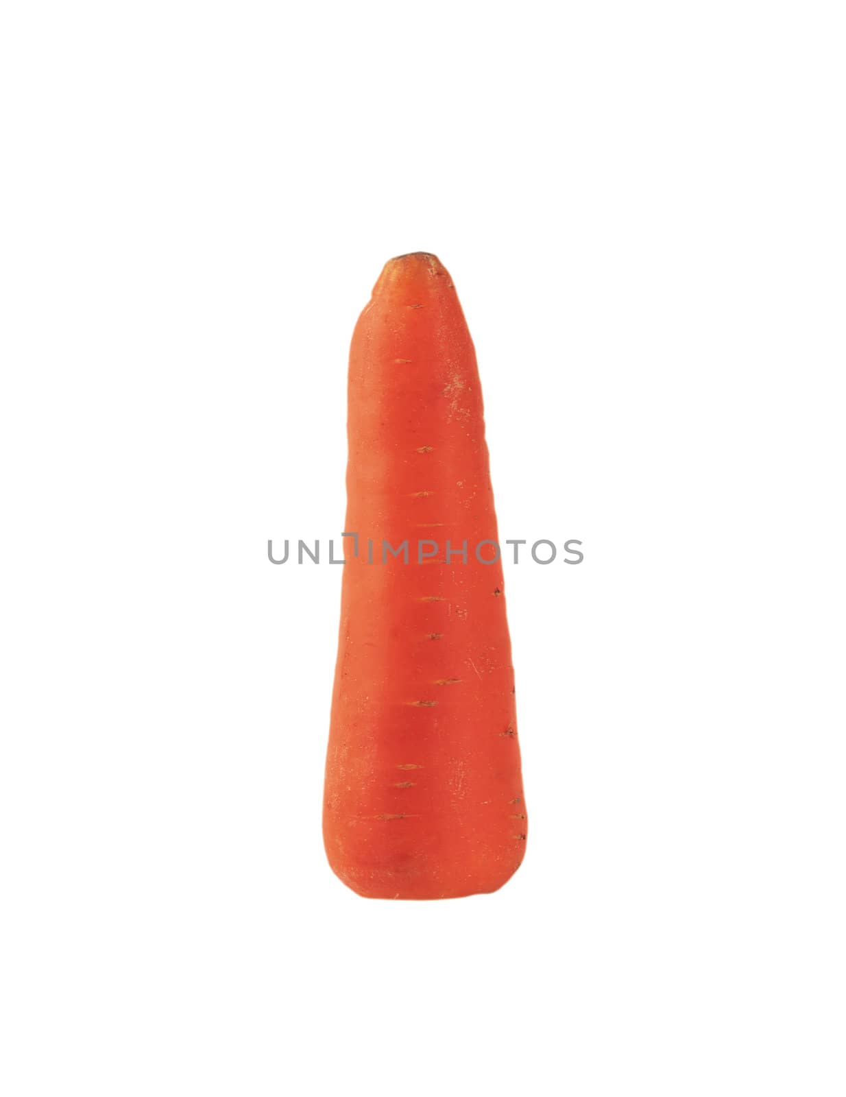 Fresh red carrot isolated on a white background