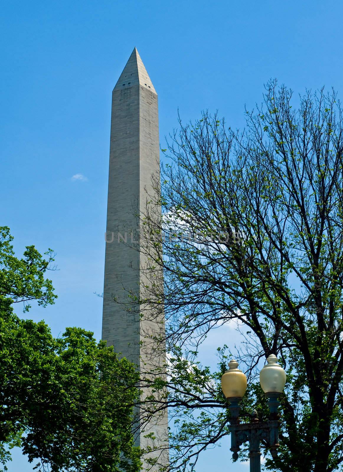 The Washington Monument at Springtime in Washington DC