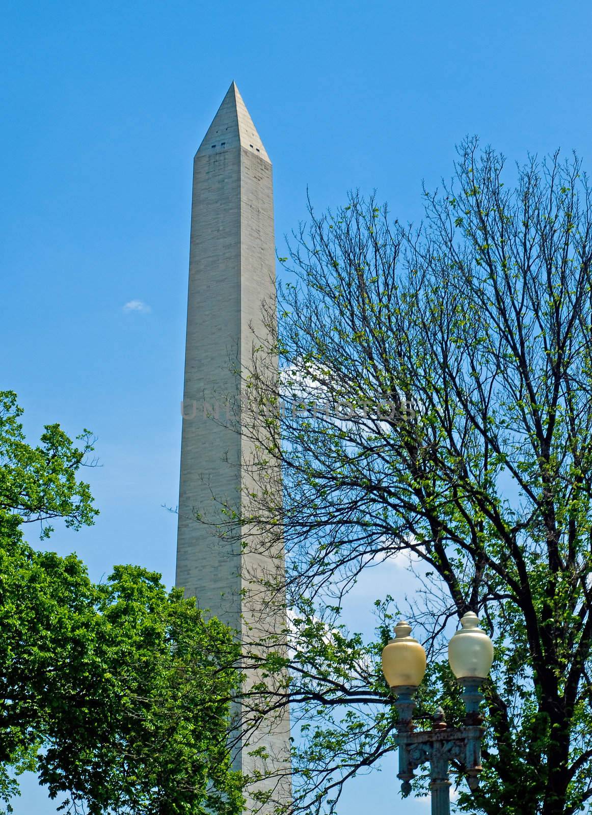 The Washington Monument at Springtime in Washington DC by Frankljunior