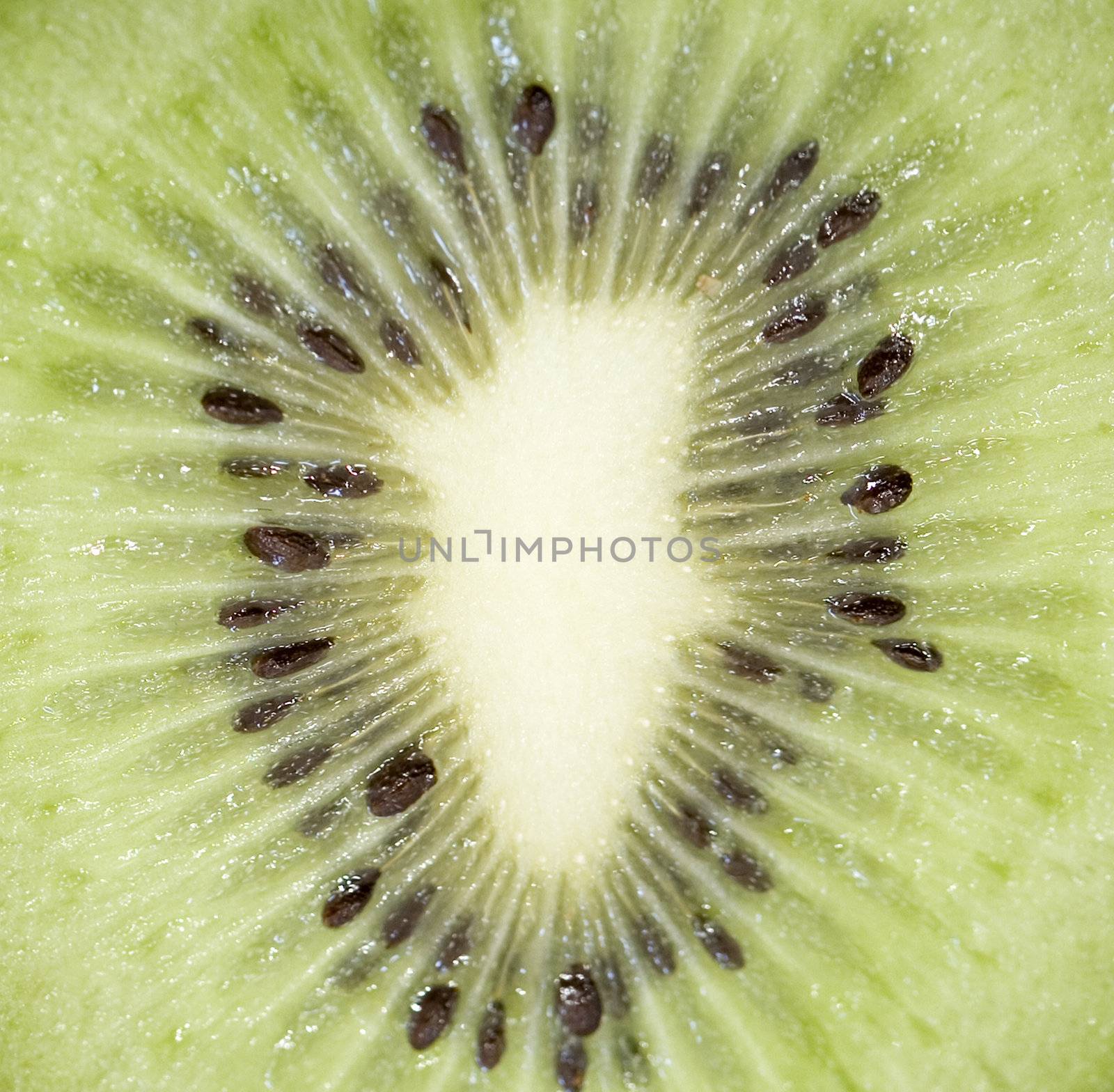 Abstract photo of a kiwi close up.