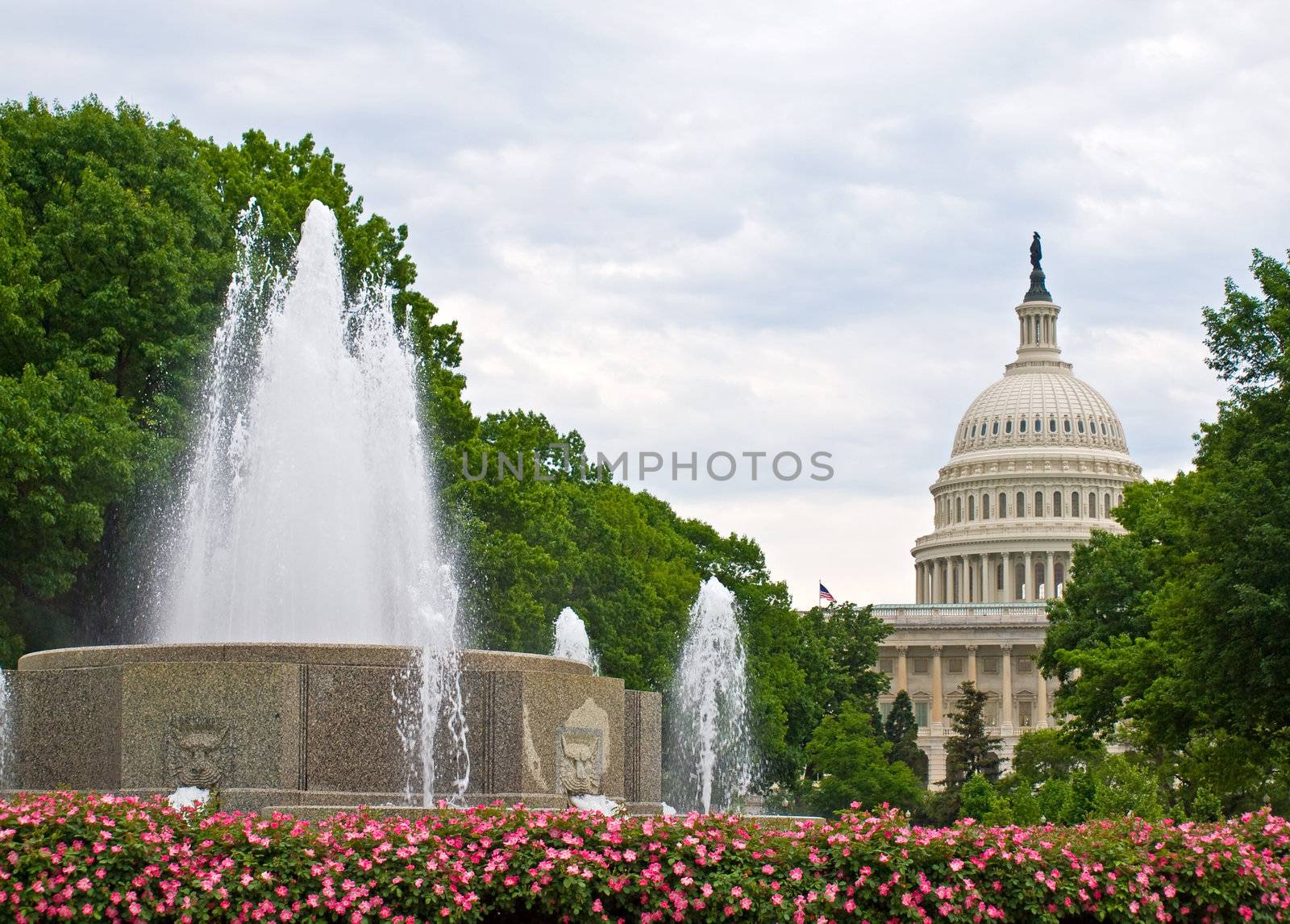 United States Capitol Building and Fountain in Washington DC