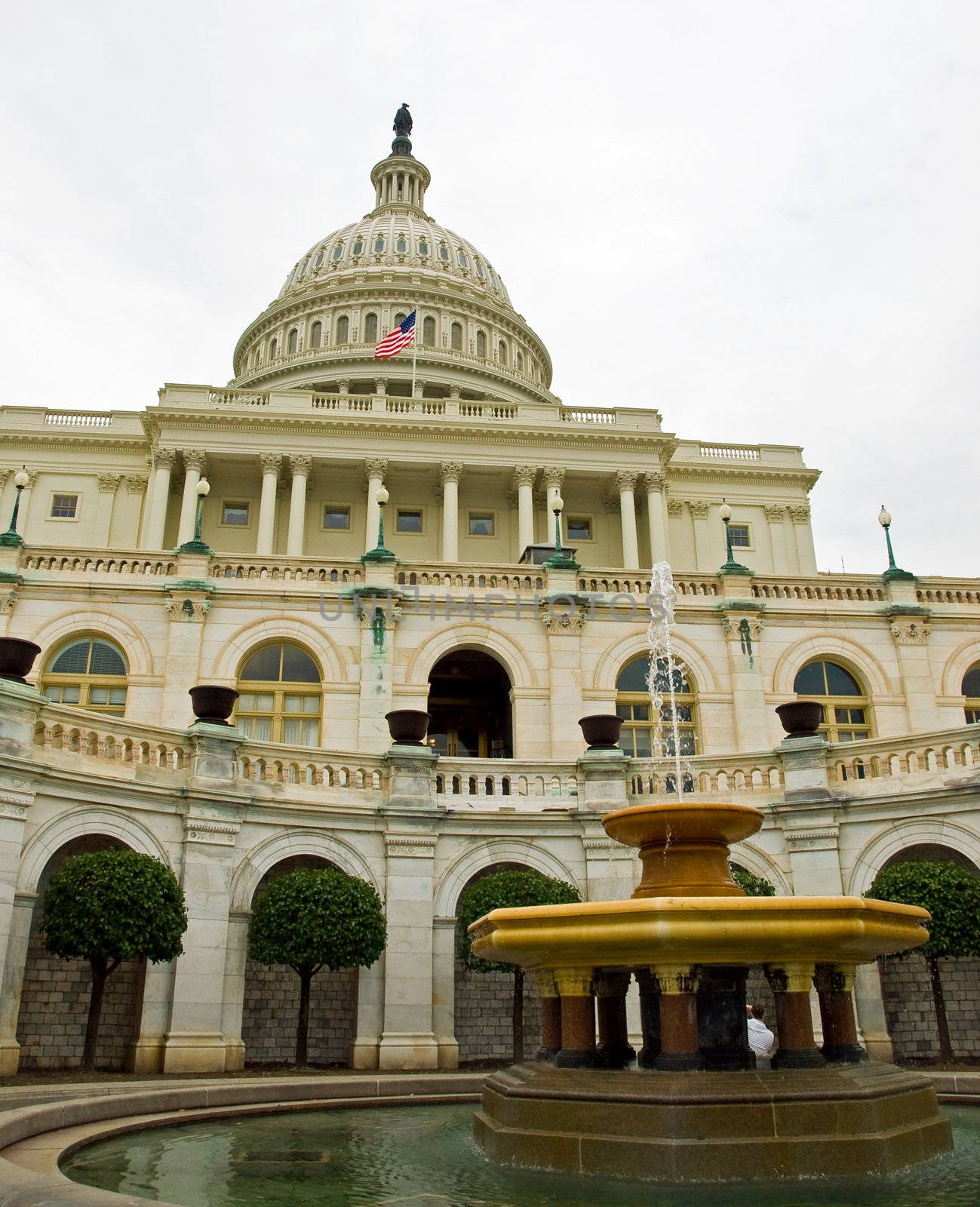 United States Capitol Building and Fountain in Washington DC