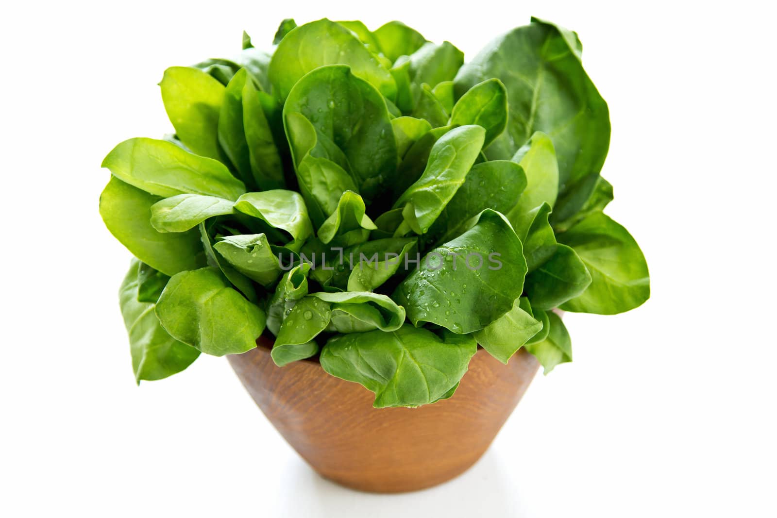 Fresh bunch of spinach in wood bowl