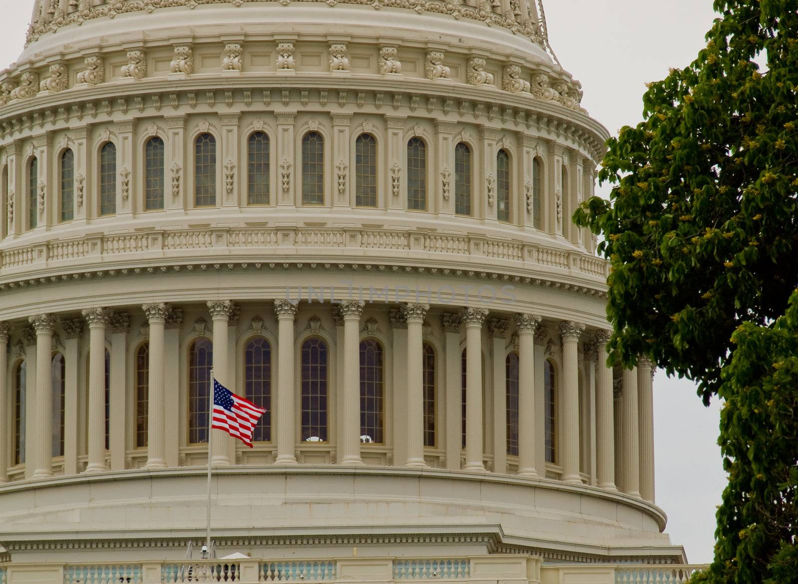 United States Capitol Building in Washington DC with American Flag