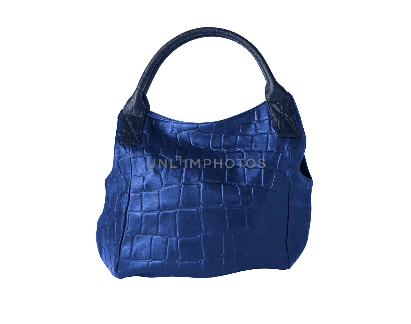 Woman's Leather Handbag blue