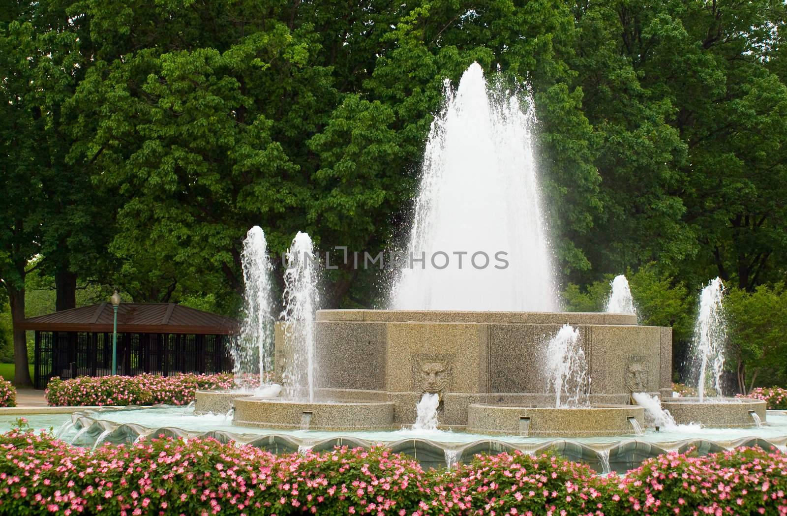 Water from a Fountain Shooting into the Air