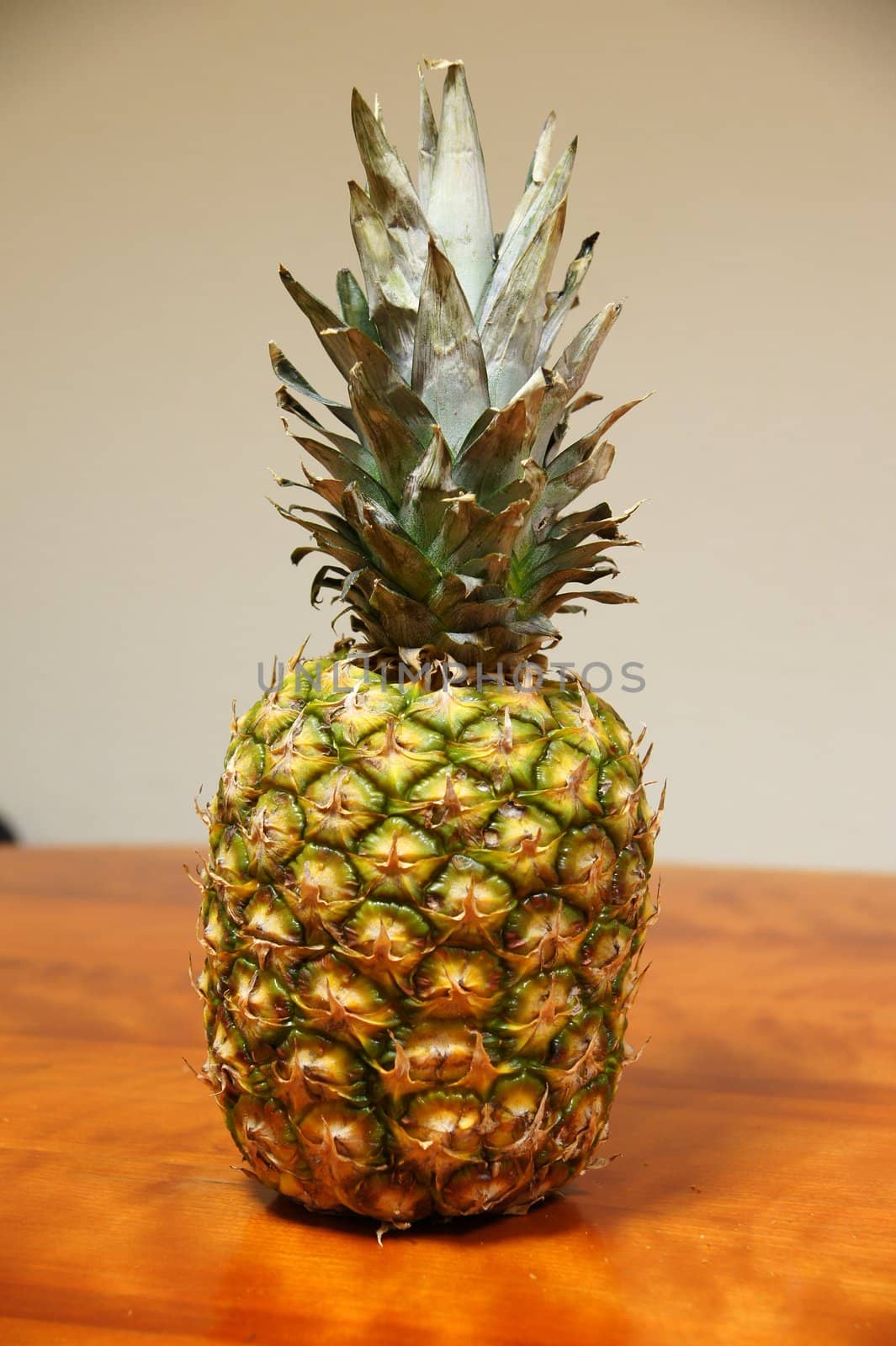 Pineapple by andrei_kolyvanov