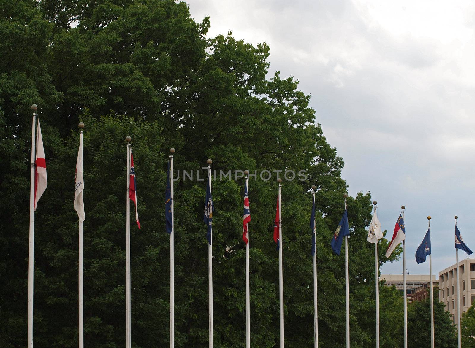 State Flags of the US at Union Station in Washington DC