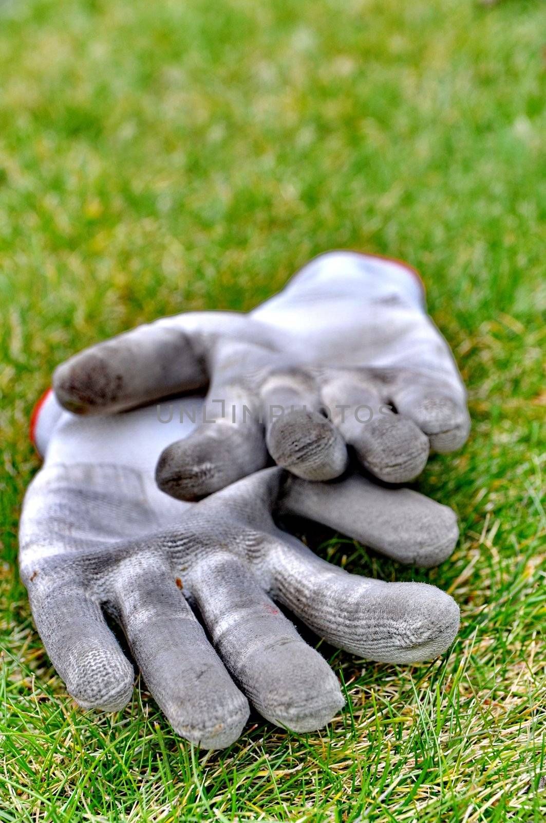 Dirty gardening gloves on the grass by anderm