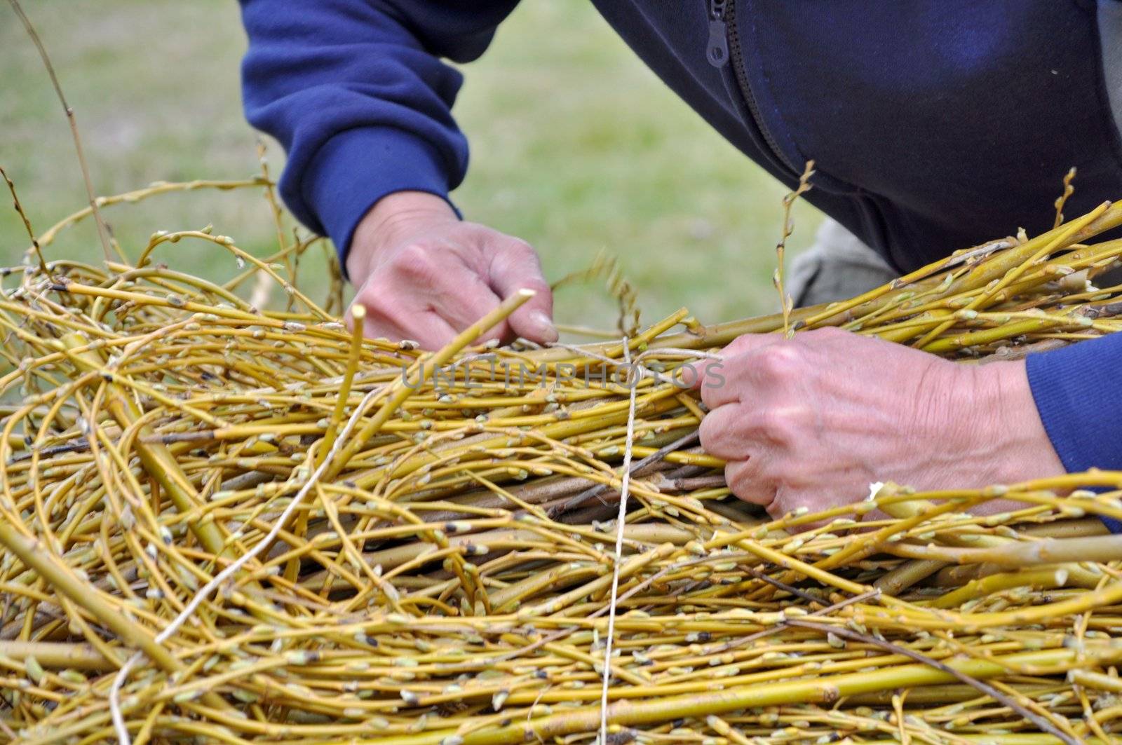 Tie a bunch of branch by anderm