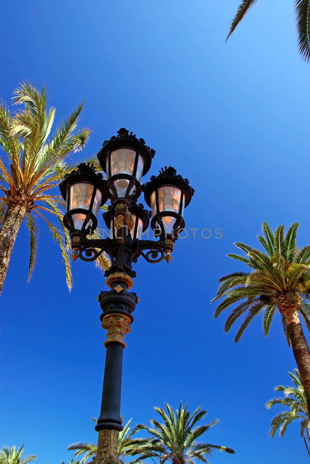 Old style street light among palm trees.  by borodaev