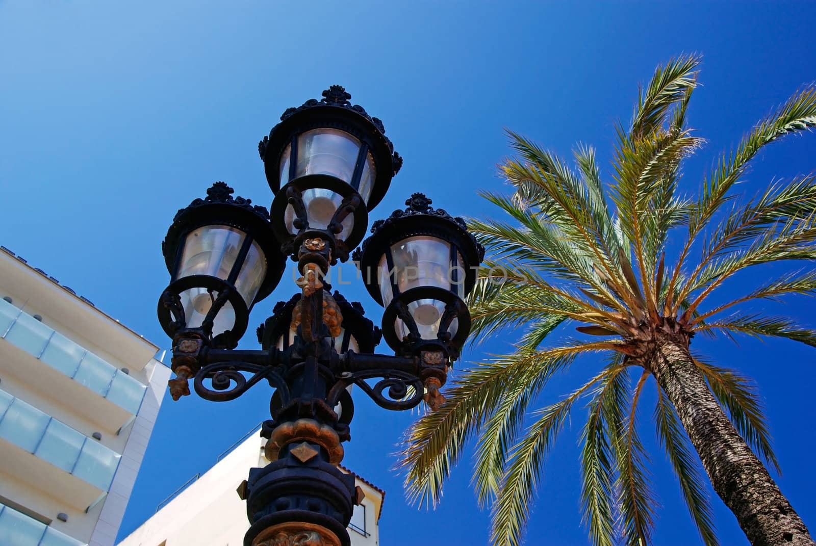 Street light and palms with luxury apartments building in background. Lloret de Mar, Spain.