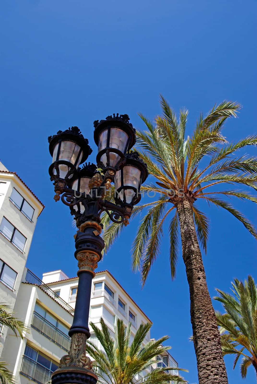 Street light and palms with luxury apartments building in background. Lloret de Mar, Spain.