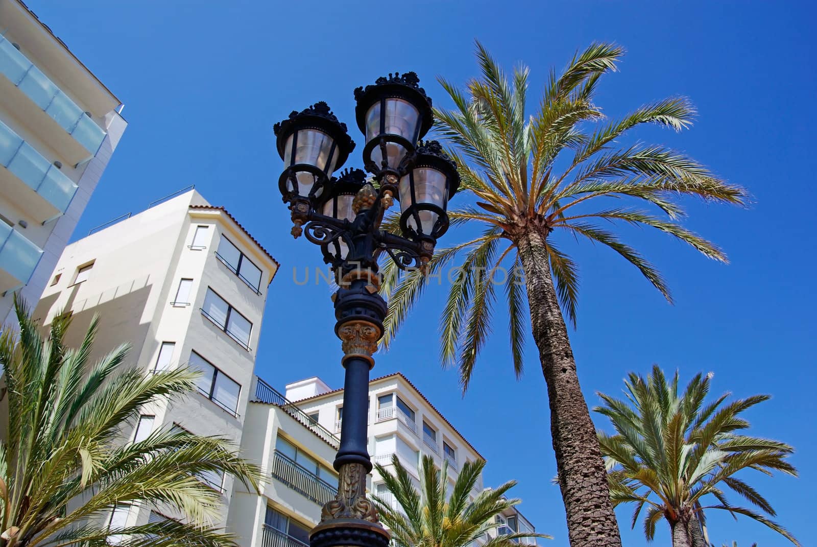 Street light and palms with luxury apartments building in background. Lloret de Mar, Spain.