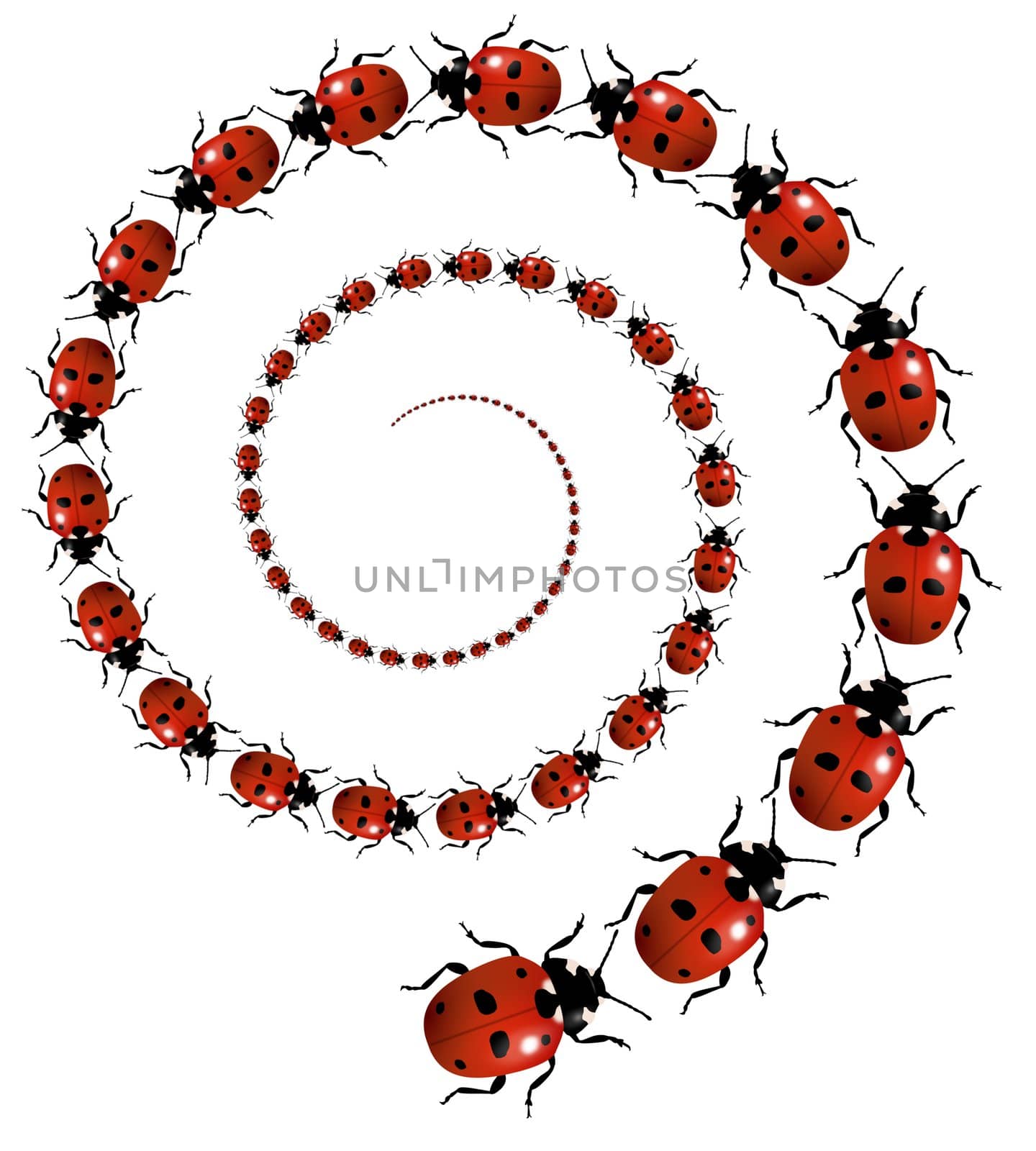 Illustration of a spiral of Ladybirds