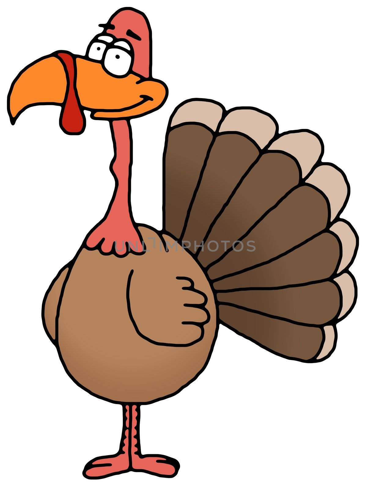 Illustration of an isolated Thanksgiving Turkey