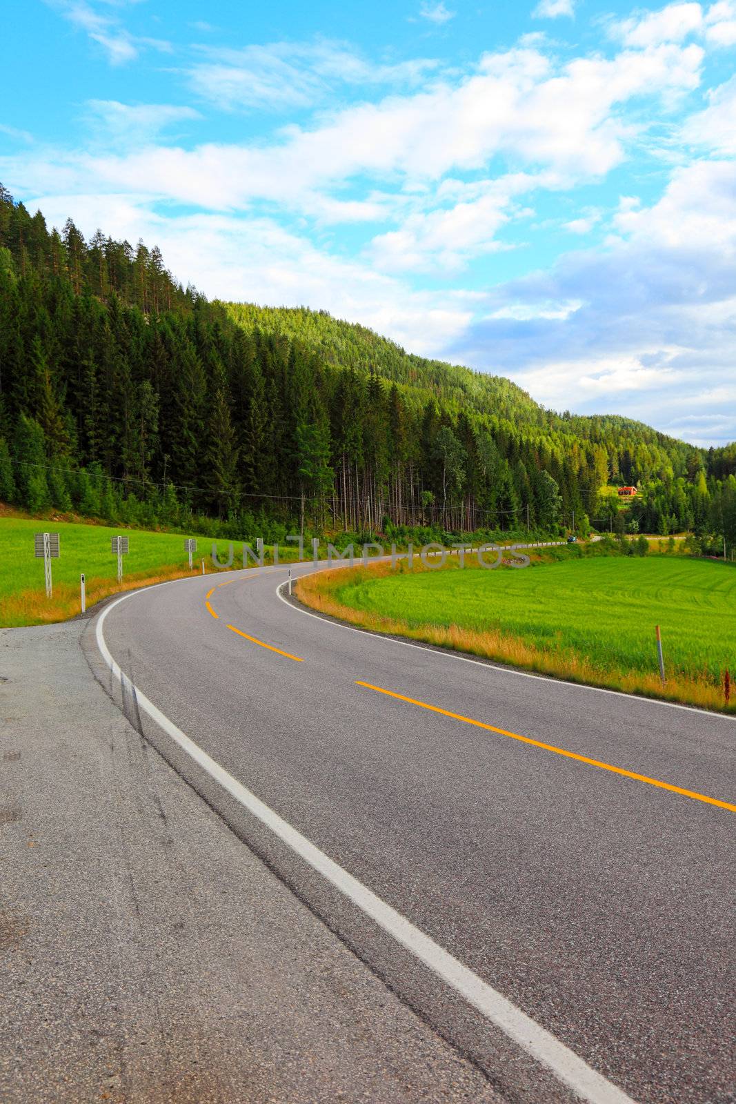 Road from Oslo to Bergen in Norway. by borodaev