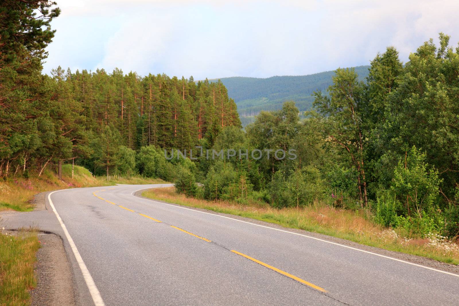 Road from Oslo to Bergen before sunset. Norway, scandinavian Eur by borodaev