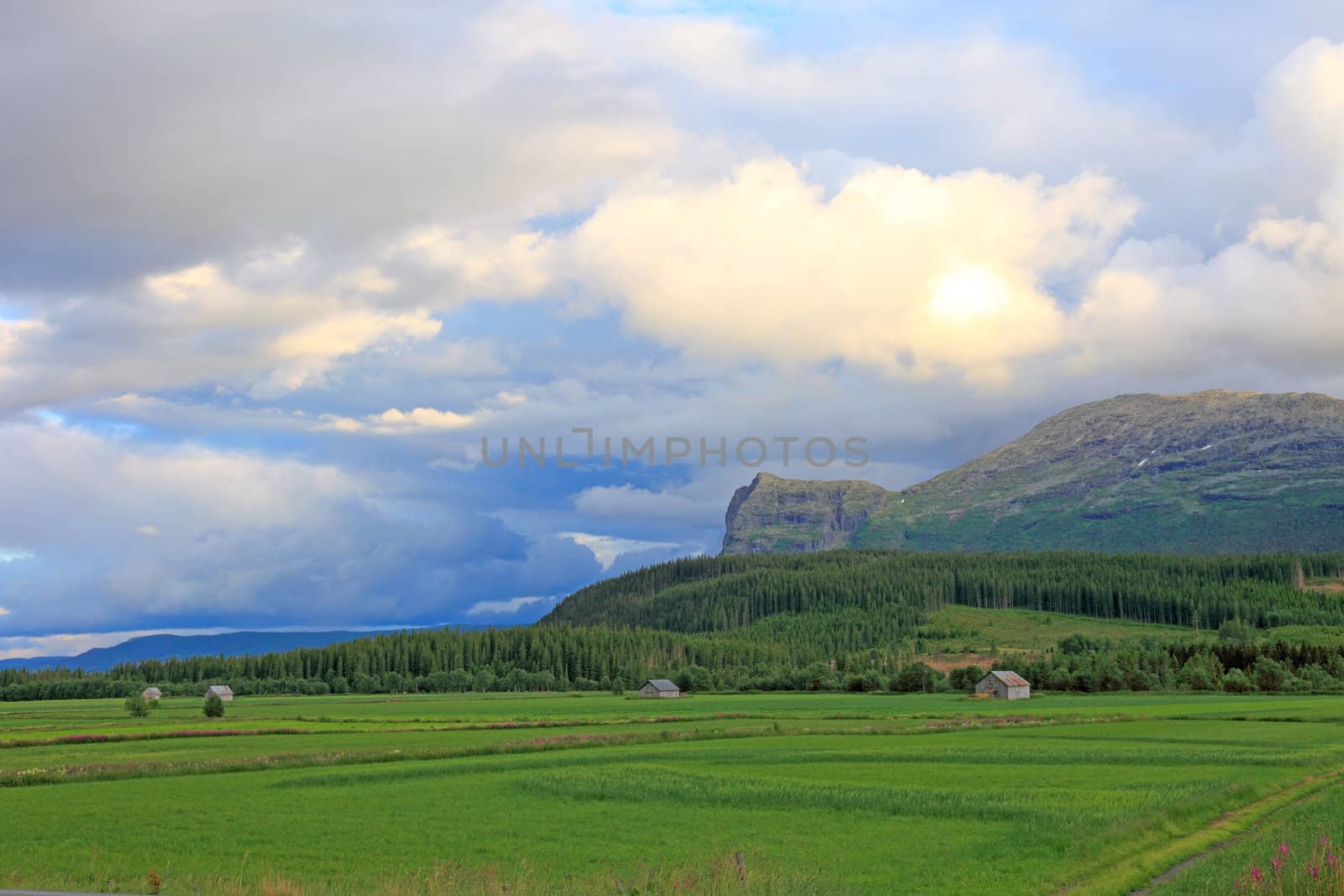 Small farm houses in valley. Landscapes of Norway. by borodaev