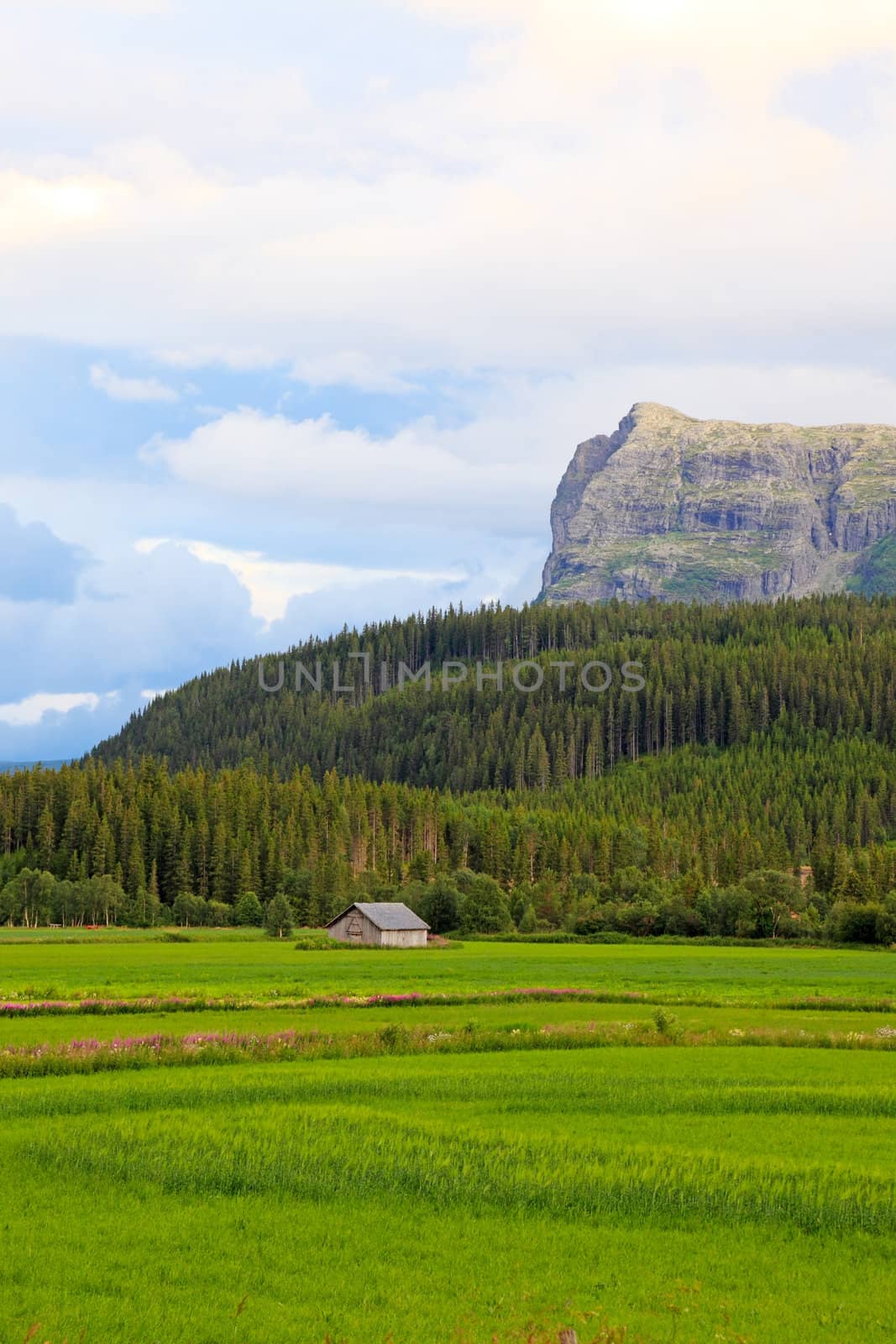 Small farm houses in valley. Landscapes of Norway.