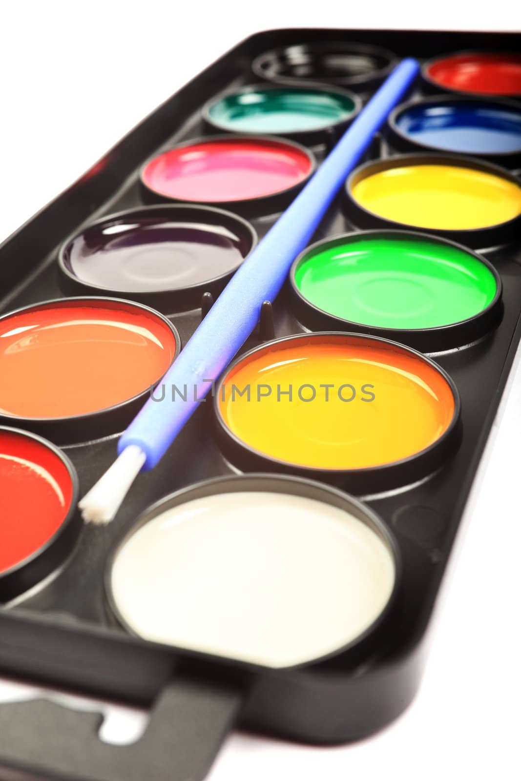 Close up of watercolor palette isolated on white background.