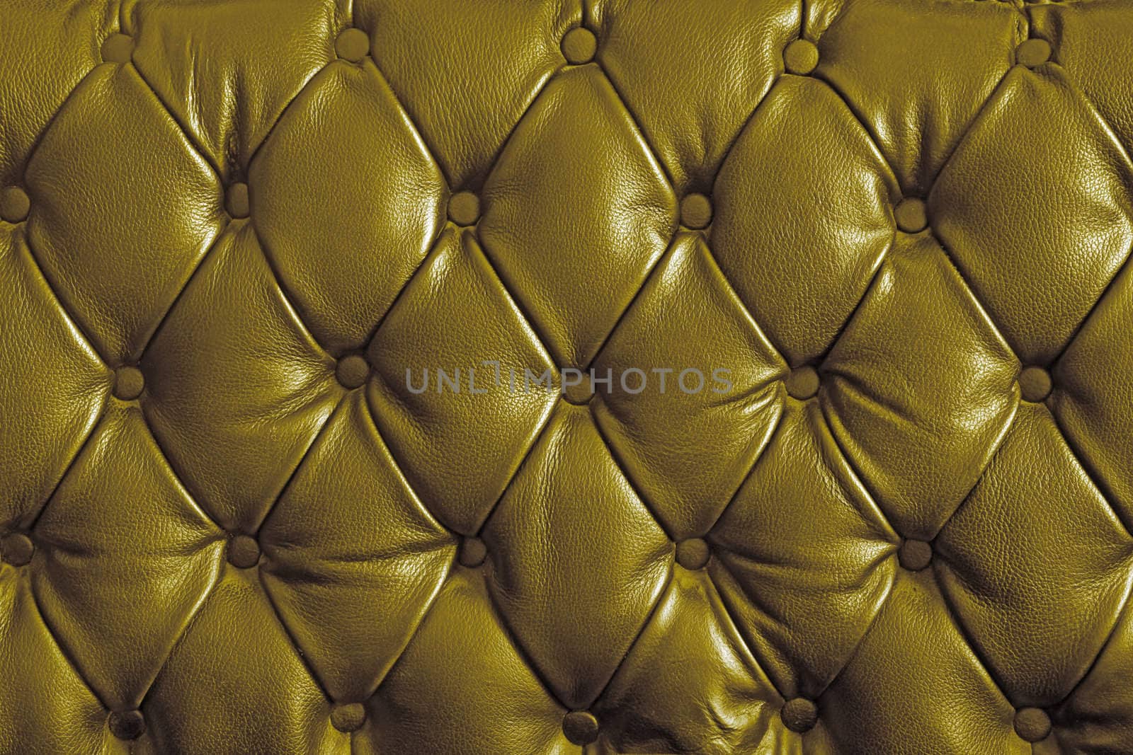 gold genuine leather by vichie81