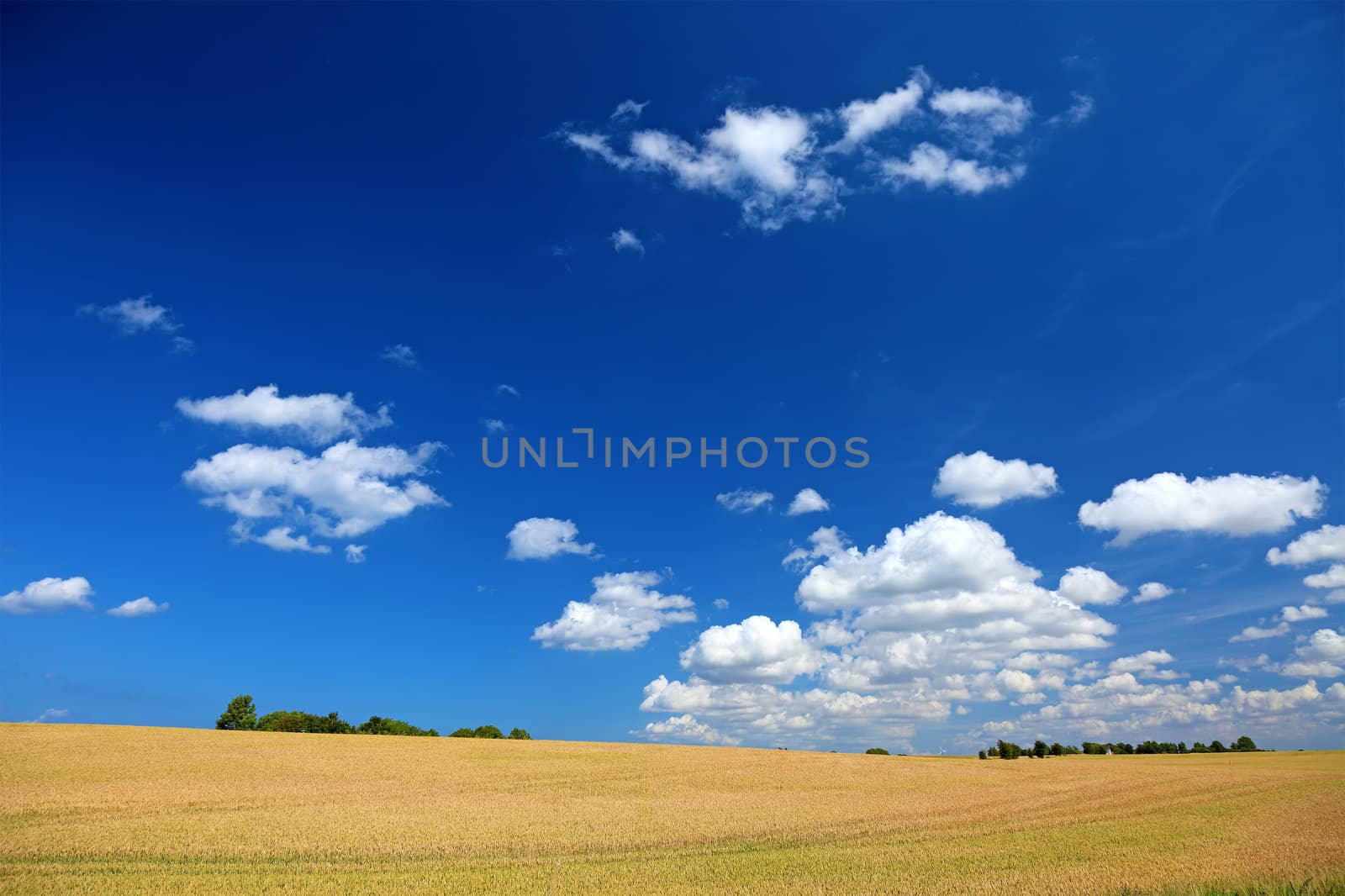 Colorful summer field landscape, Europe. Good as background or b by borodaev