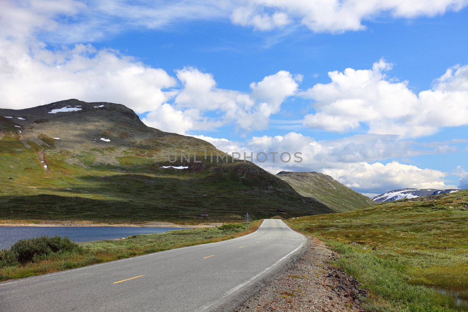 Beautiful landscape on the way from Bergen to Oslo, Norway, Euro by borodaev