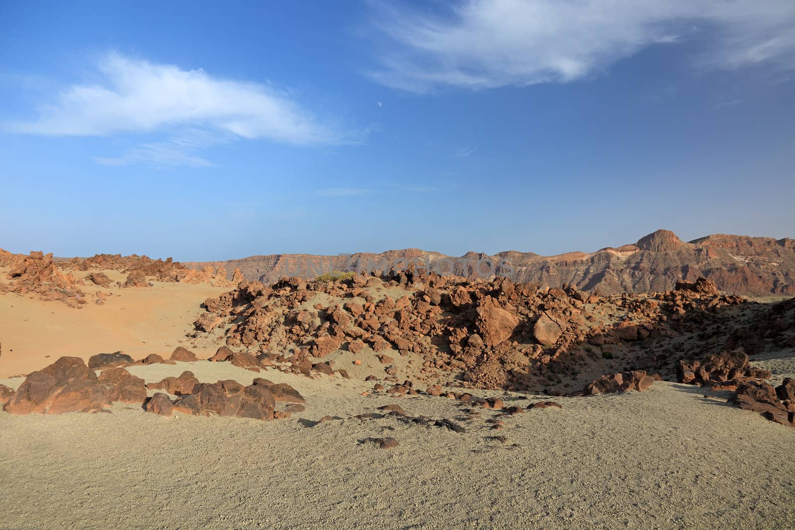 Desert landscape of El Teide volcano, Tenerife Island, Canary. by borodaev