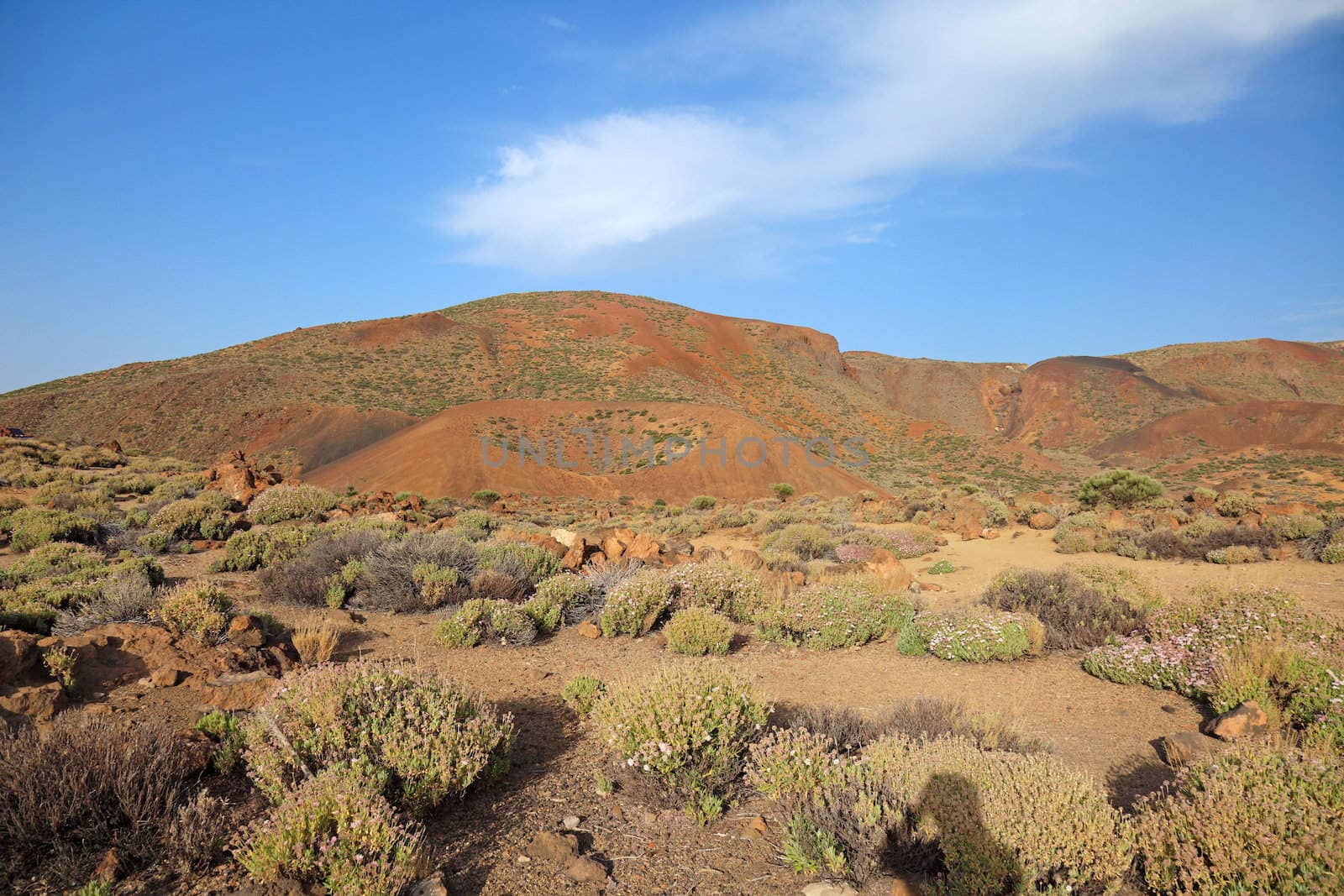 Volcanic landscape of El Teide Volcano, Tenerife Island, Canary. by borodaev