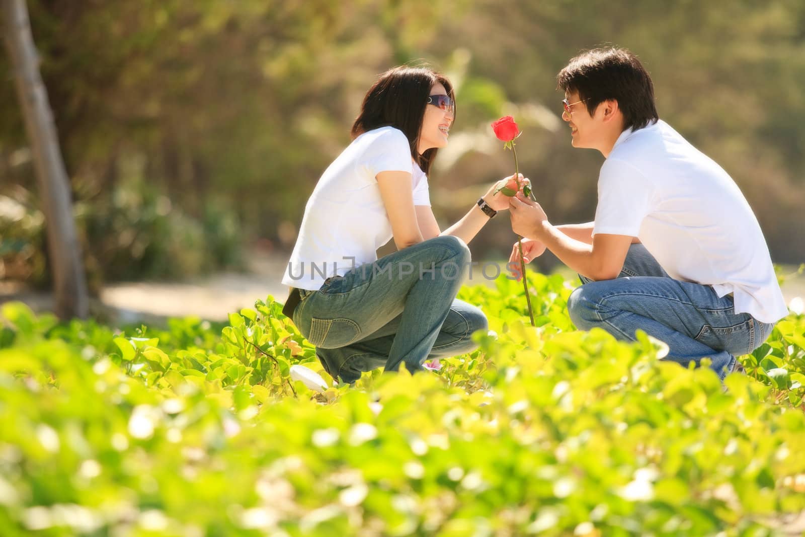 attractive young boy giving beautiful rose to his pretty girlfriend