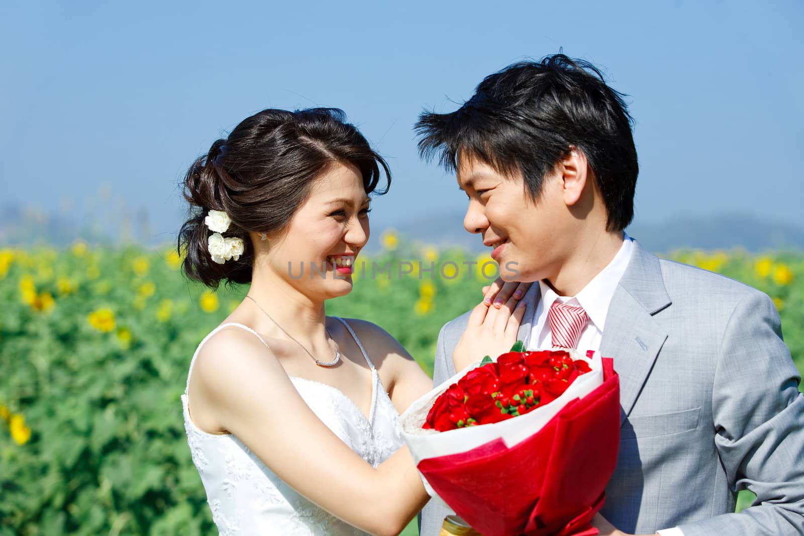 portrait of bride and groom seeing each other on sunflower field by vichie81