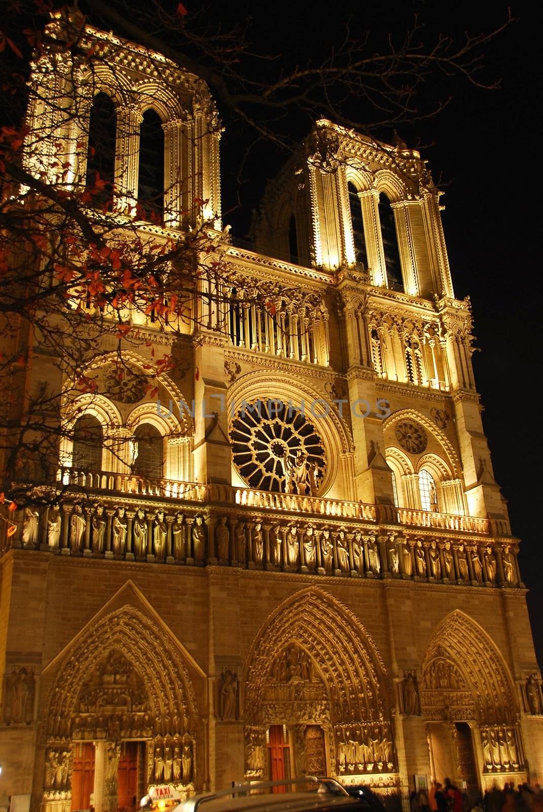 Cathedral of Notre Dame de Paris at night