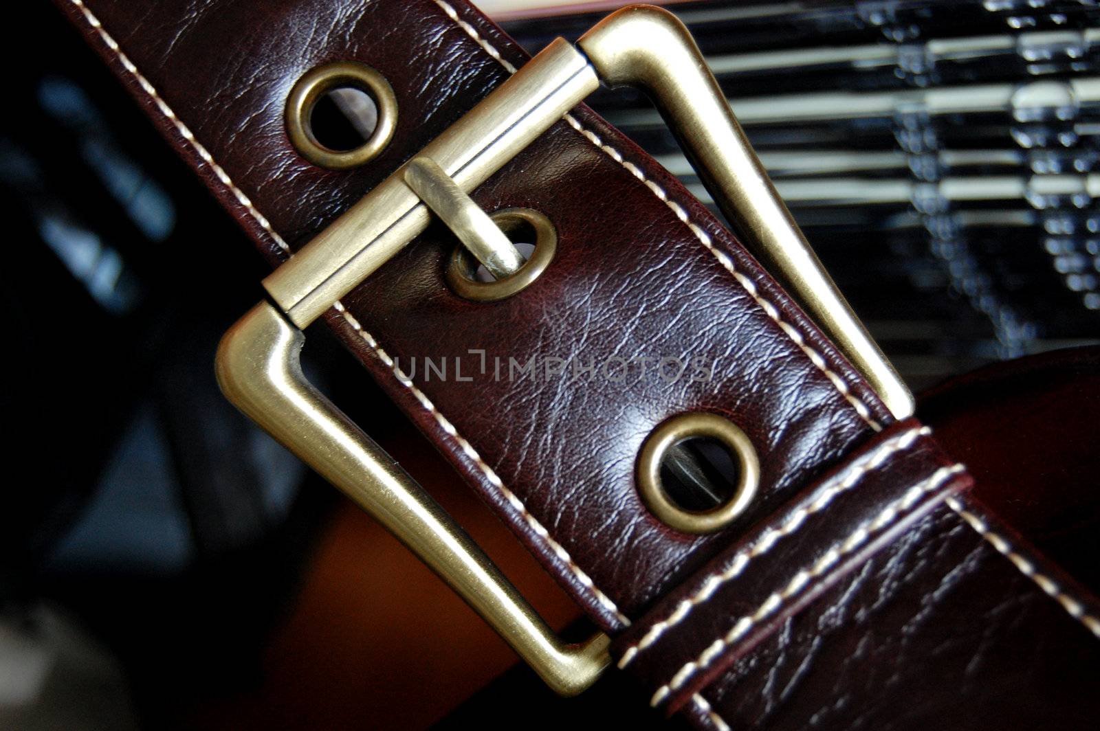 Buckle of a female brown leather bag