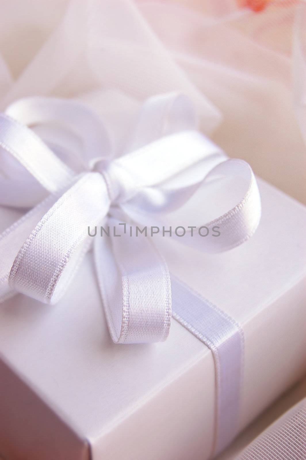 Present white box with silky ribbon in laces
