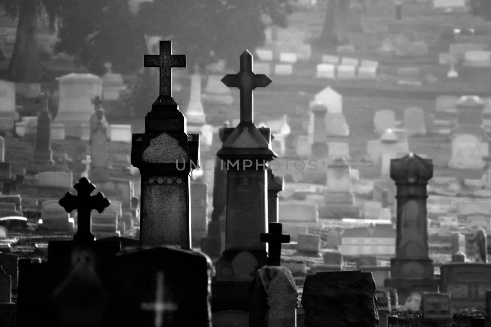 Misty cemetary at dawn featuring headstones and memorials.  All names have been obscured.