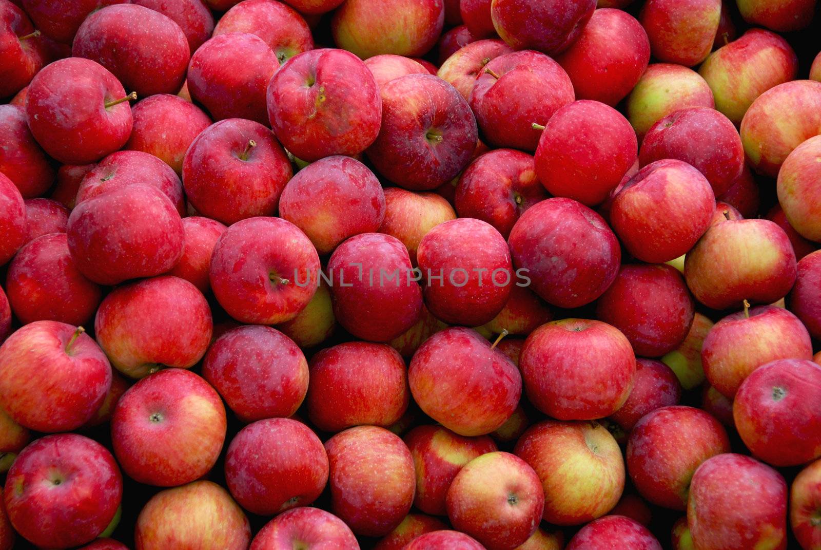 Background of fresh red apples