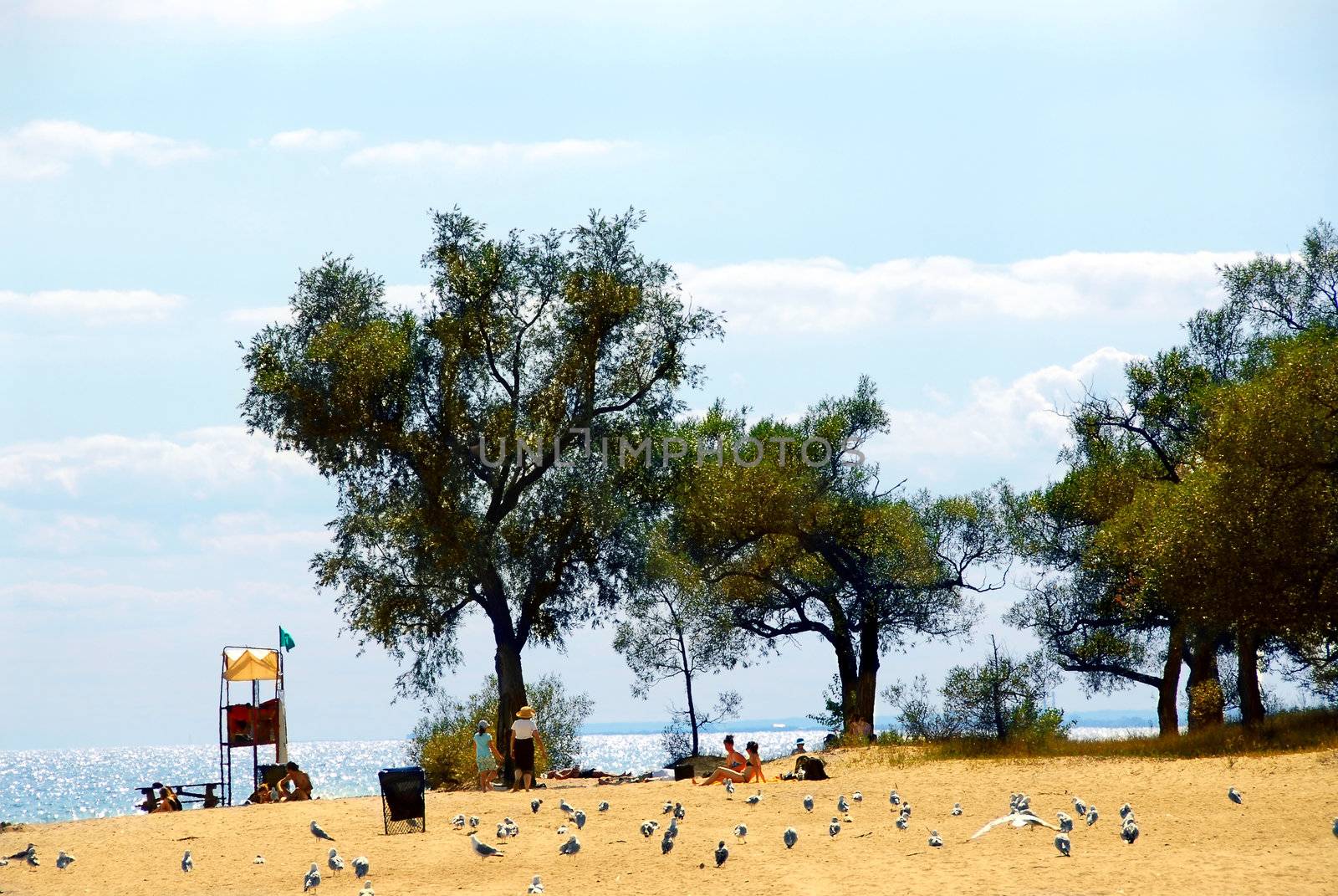 Beach scene with people, trees and sparkling sea