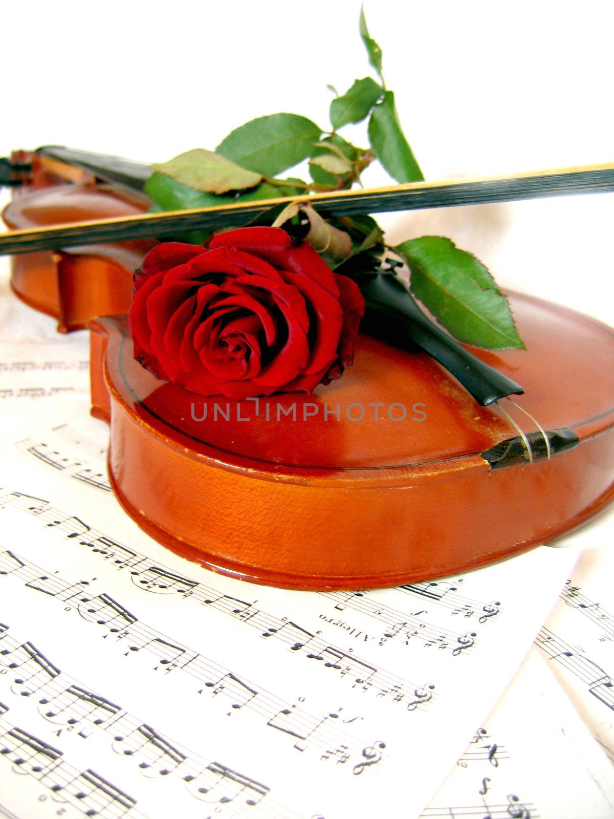 Violin with bow and red rose on music sheet