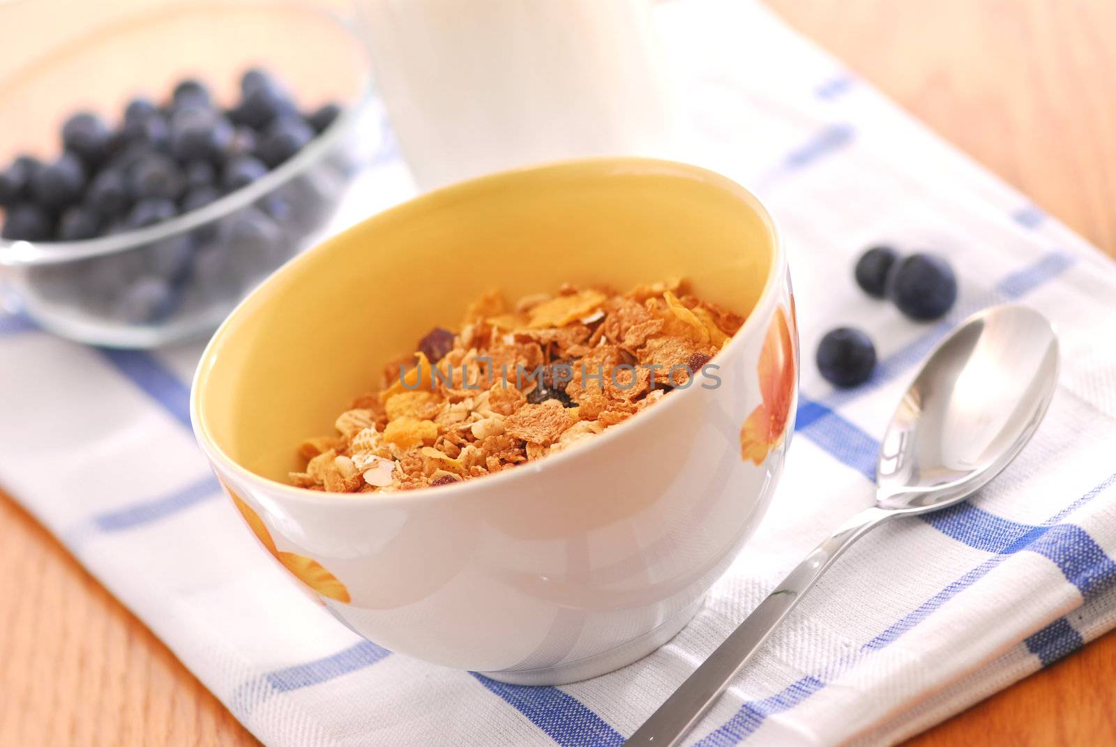 Healthy breakfast of cereal, milk and blueberries served on a table on sunny morning