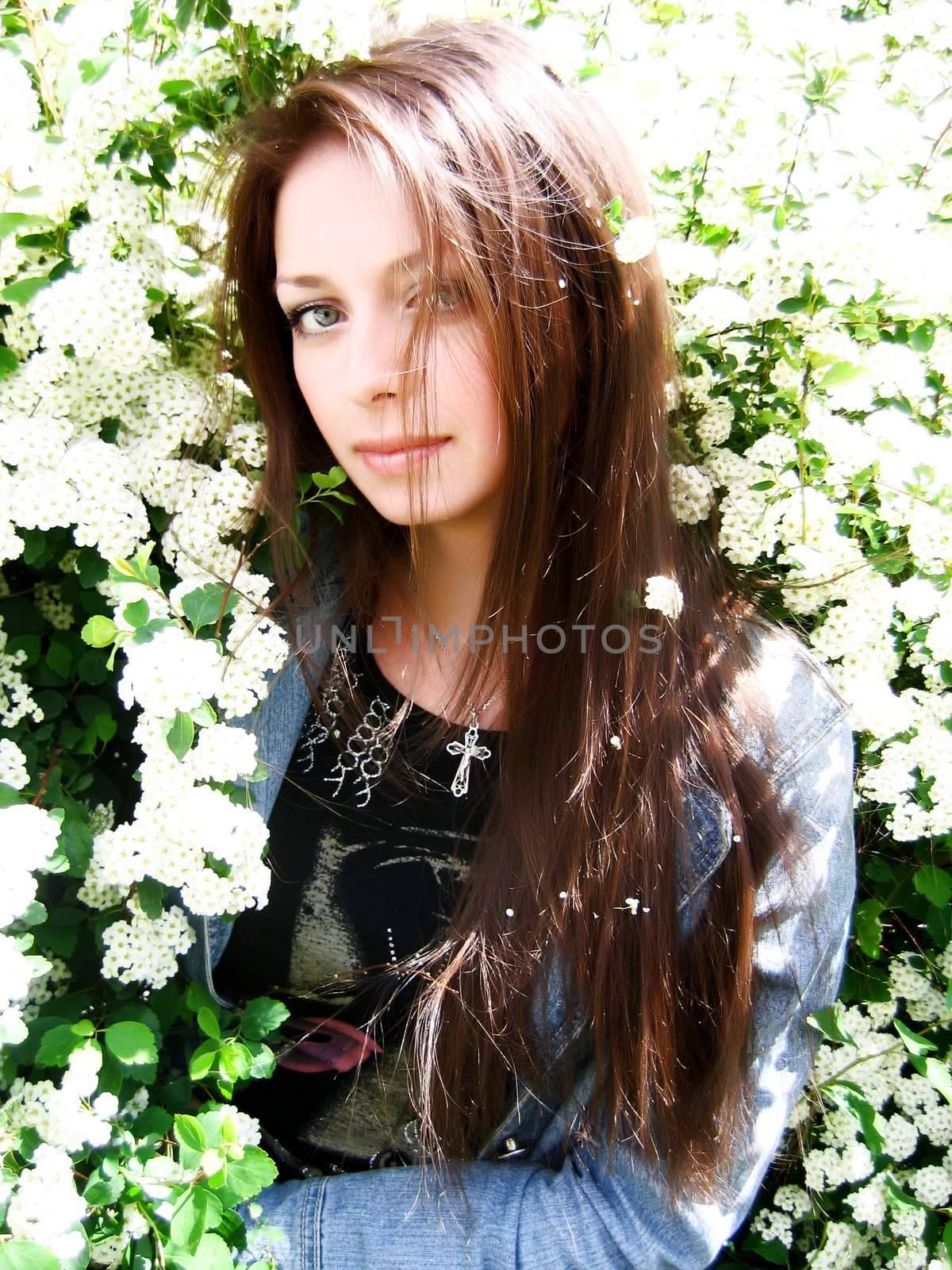 A beautiful brunette girl among white flowers' blossom