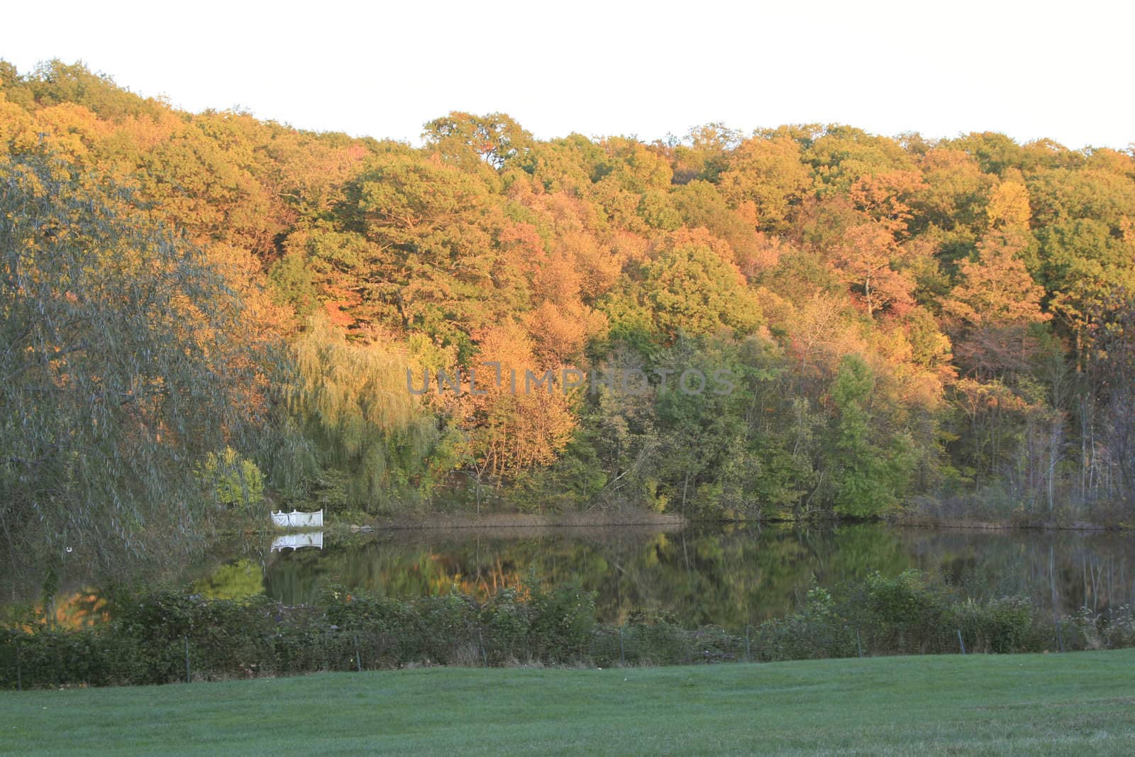 Forest and lake view in Armonk, New York