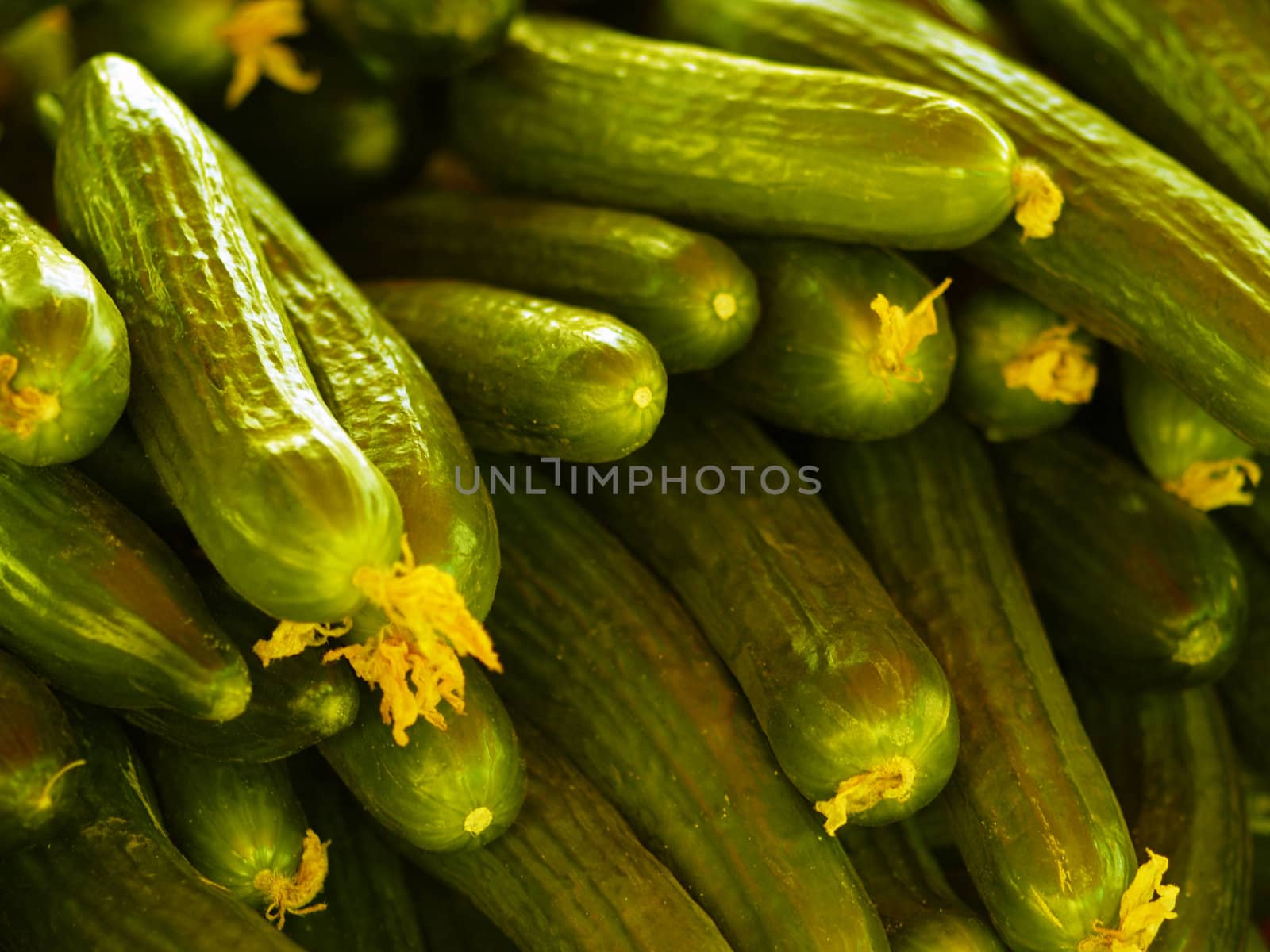 cucumbers by derausdo