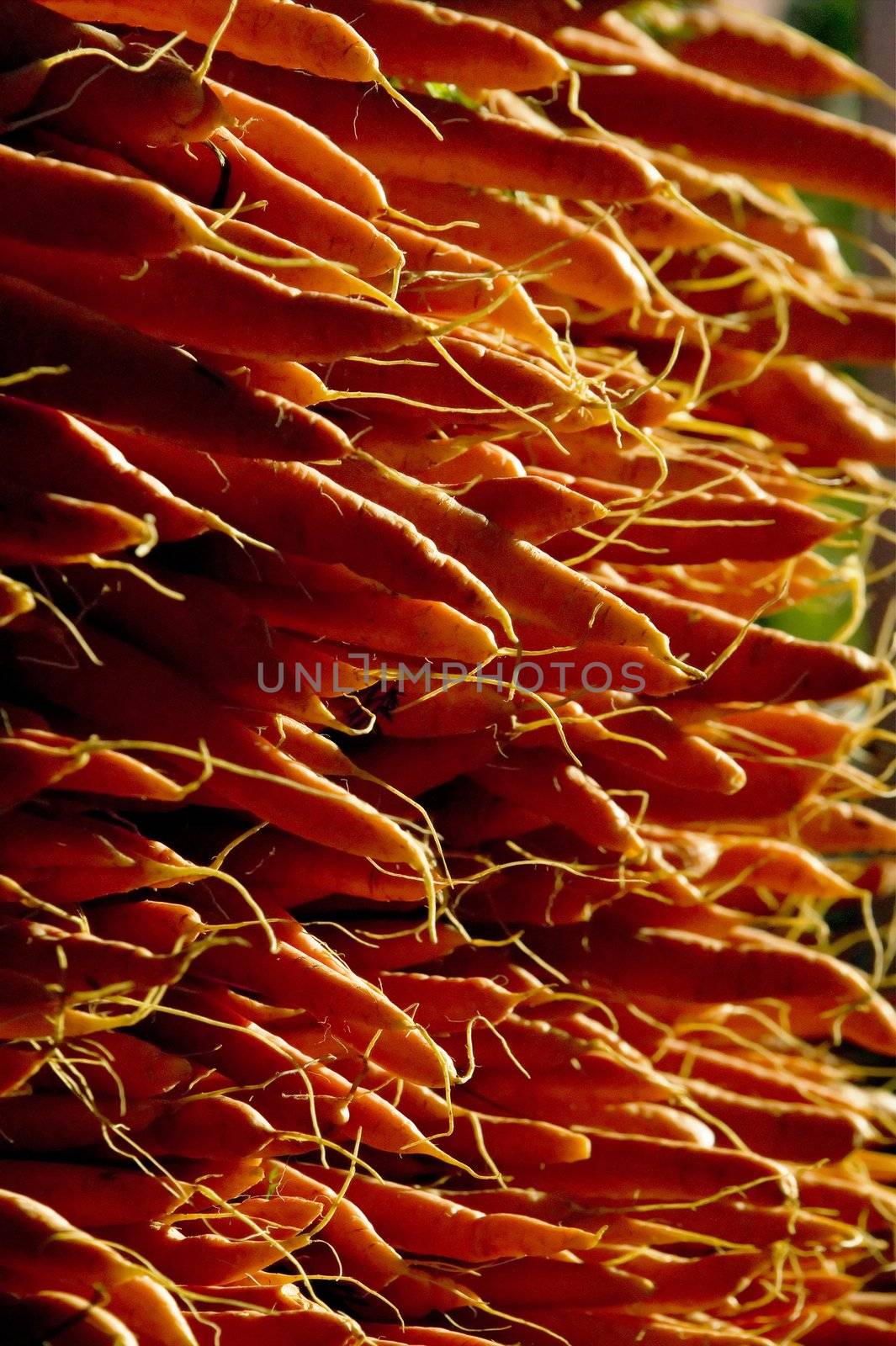 Stack of orange carrots