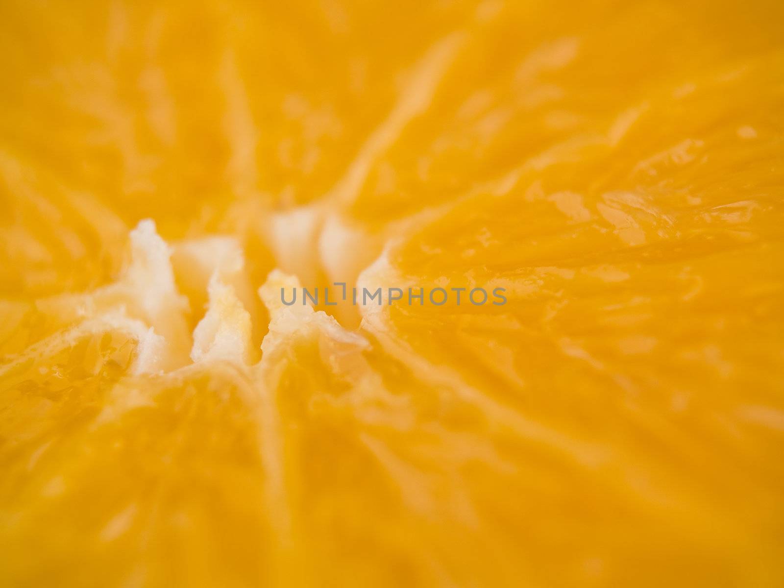 Closeup macro of the inside of an Orange