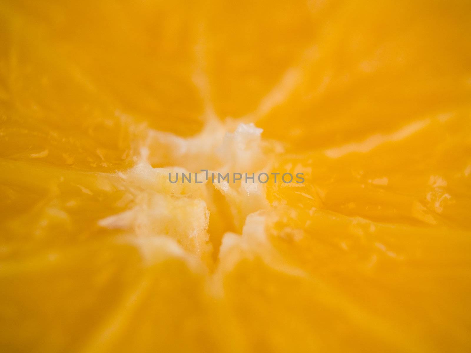 Closeup macro of the inside of an Orange