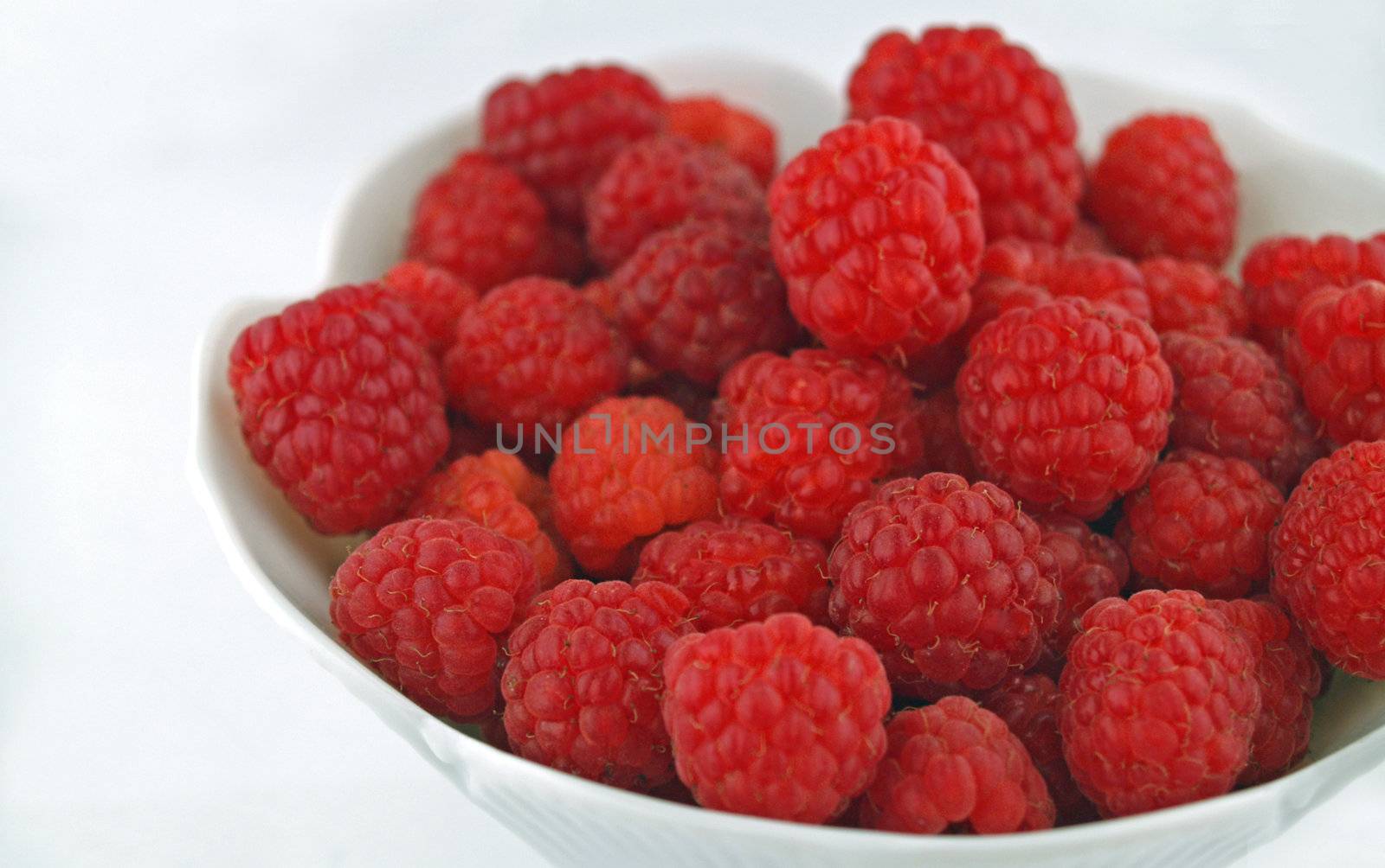 Raspberries Close Up in a Bowl on White