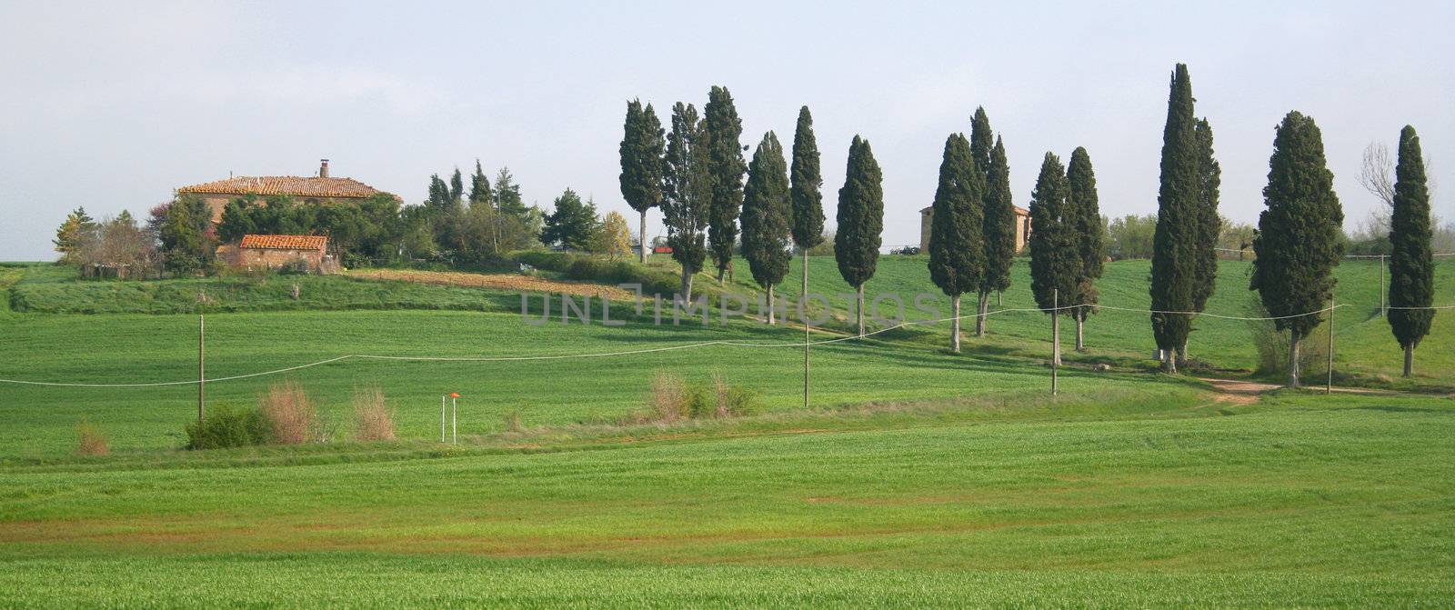 Italy. Tuscany region, Val D'Orcia valley. Tuscany landscape. 