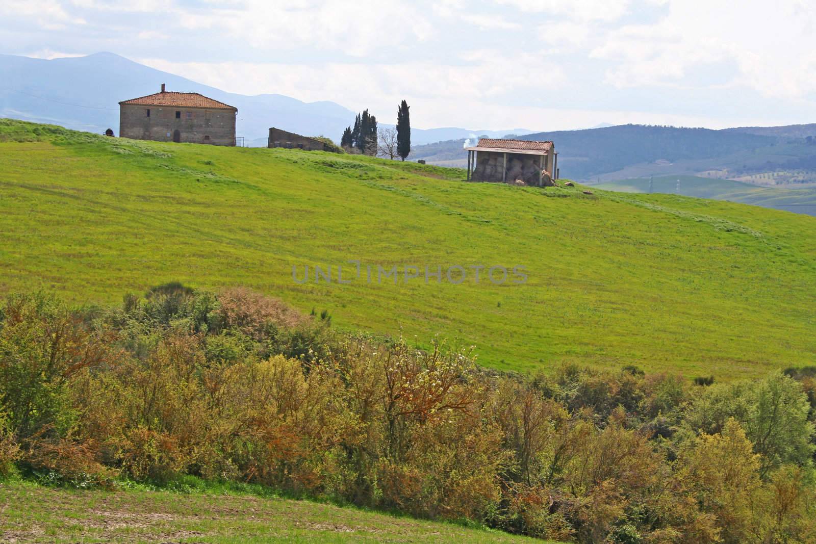 Italy. Val D'Orcia valley. Tuscany landscape