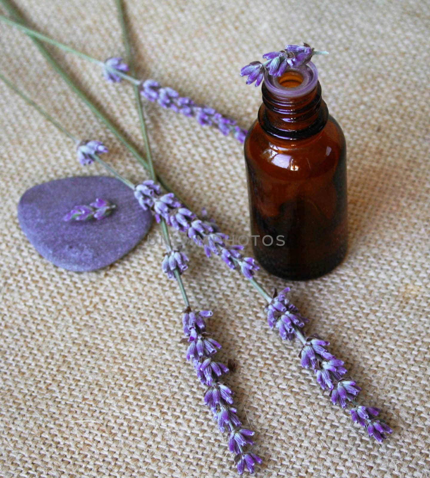 Bunch of lavender flowers and bottle of essential oil on sackcloth background in a spa composition